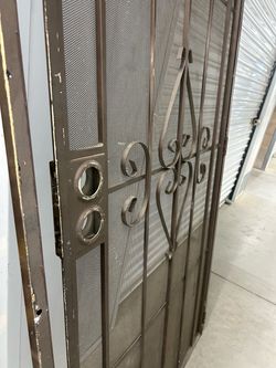 Security screen, storm door