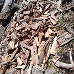 Firewood