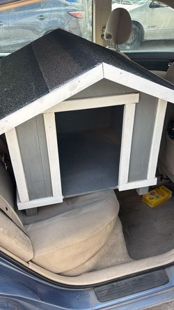 Dog House