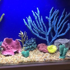 Artificial Custom Made Coral For Aqurium More Then Shown In Photo