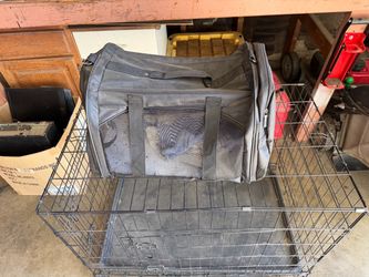 Soft-Sided Pet Carrier