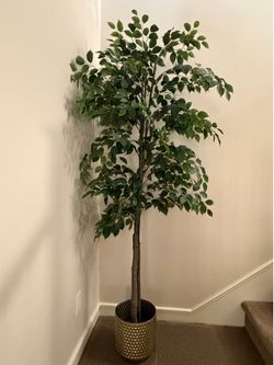 7ft Faux trees (gold planters included!)