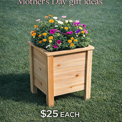 Cedar Planter Boxes check pics for sizes
