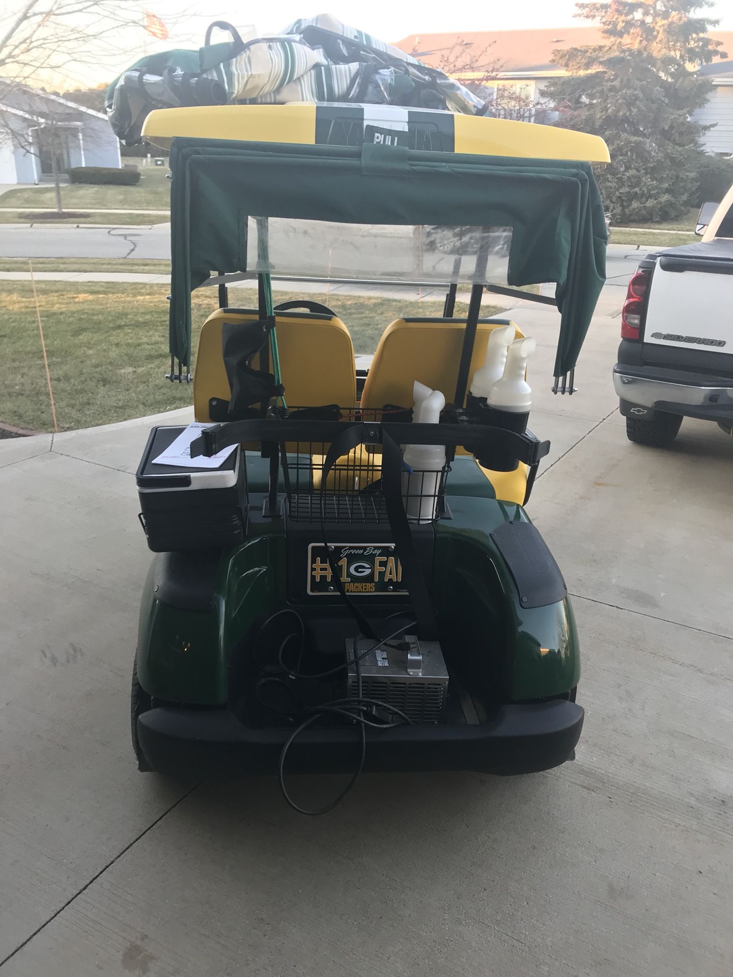 Green Bay Packers ICON i20 Custom Golf Cart - Performance Golf Carts