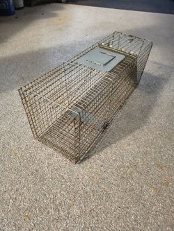 Animal Trap