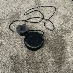 Alexa Echo/Dot