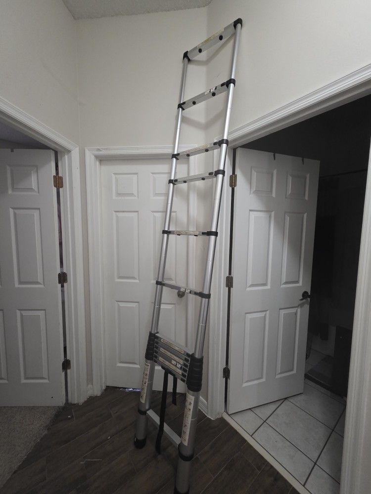 Telescoping Ladder
