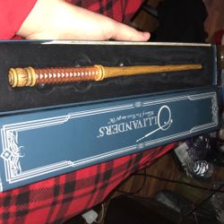Harry Potter Universal Studio Wand Brand New