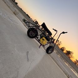 Minibike Dodobug LOOK AT Description