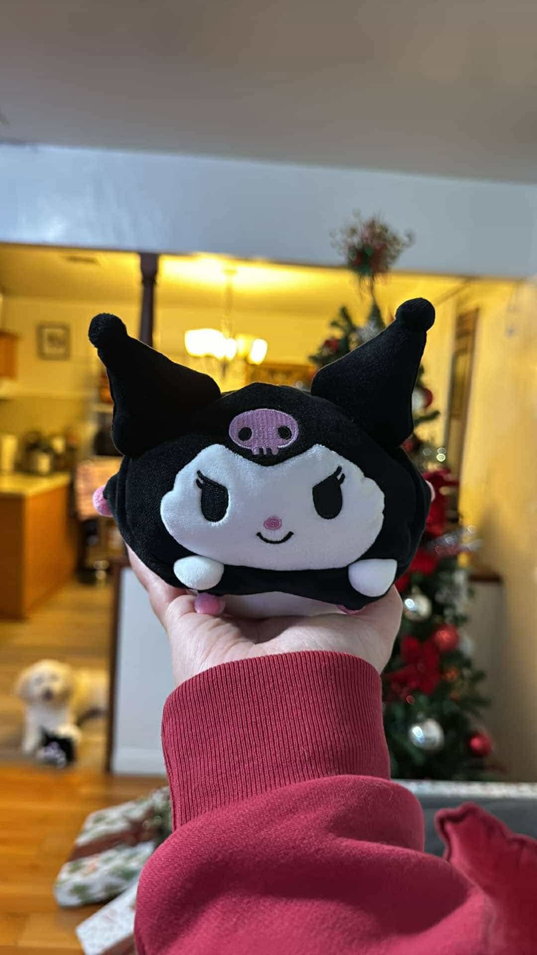 Kuromi by sanrio 3Pcs. $20