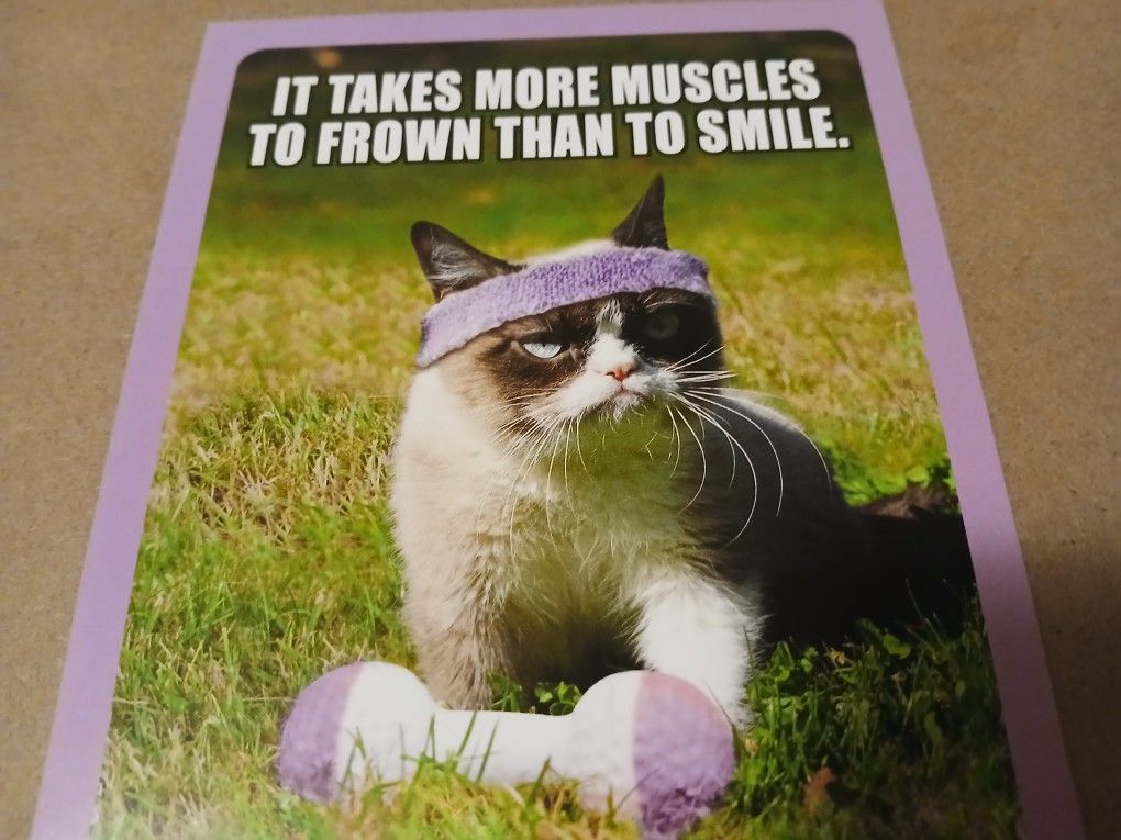 Grumpy Cat Card