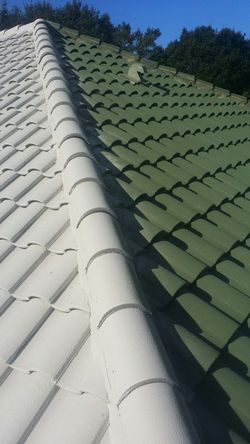Wash and paint your roof.