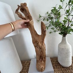 Natural Large Tree Wood Sculpture For Display Decor Real Rustic Large Burl? 