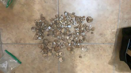 Half A Gallon Of Geodes