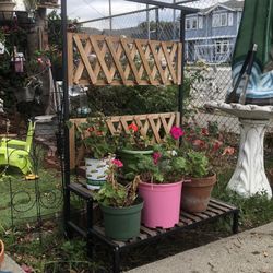 Plant Shelves For Sale And Plants 