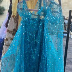 The frost costume for a girl size maybe 10