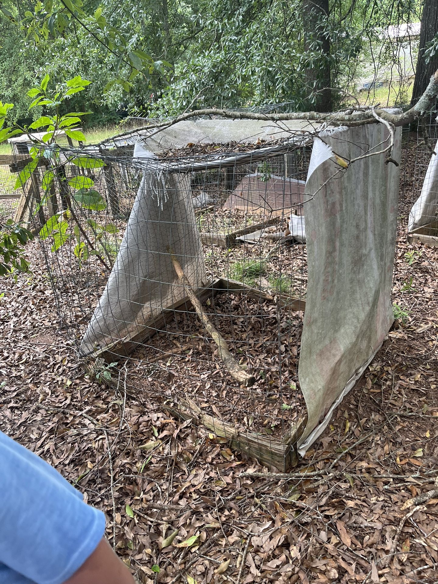 Chicken Coops And Fog Kennels