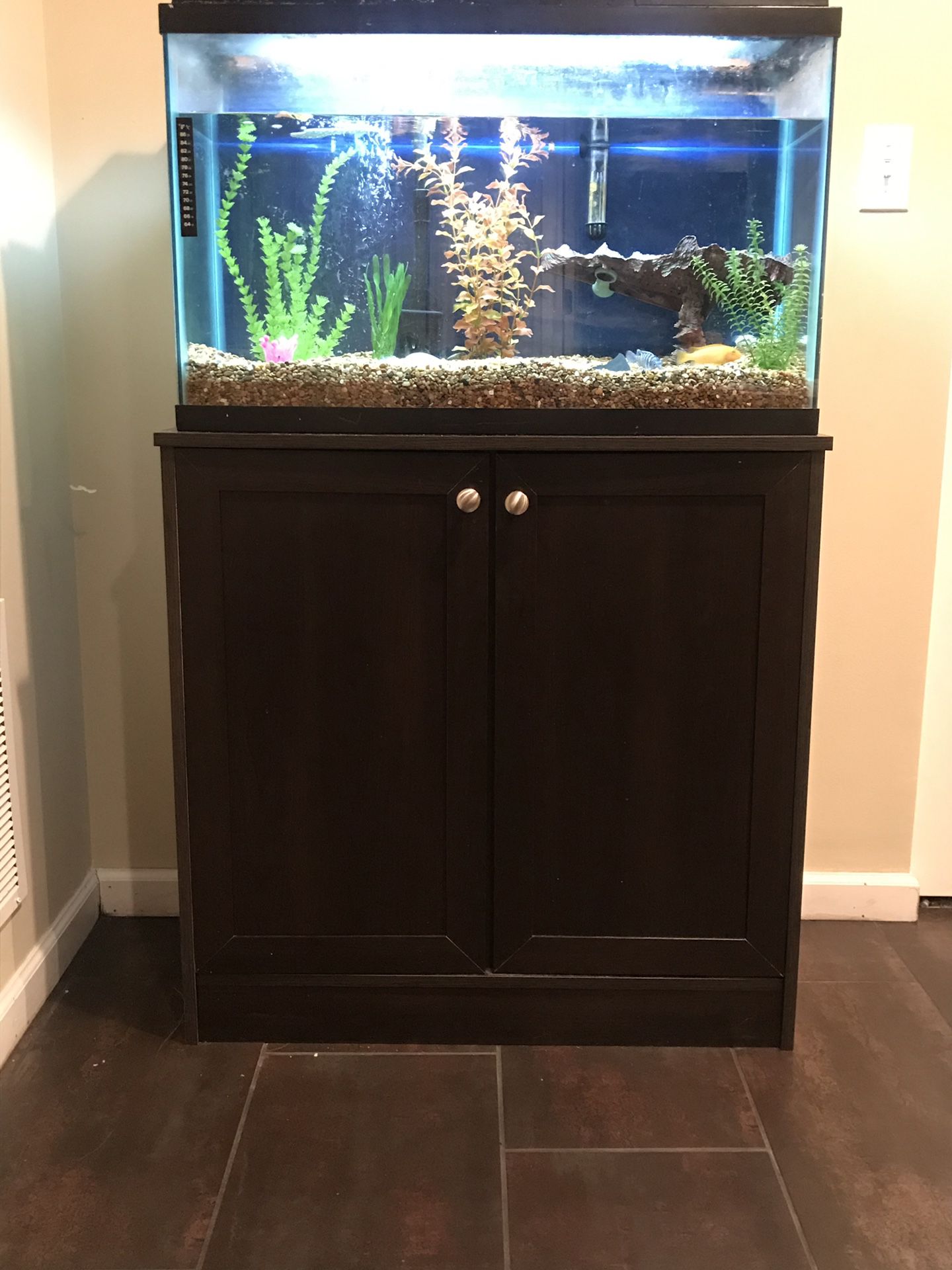 29 gallon fish take with stand. Includes everything in picture (including fish).