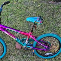Genesis 18" Illusion Girl's Bike