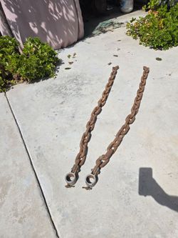 60LB Weight Chains Pair