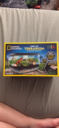 Dinosaur terrarium