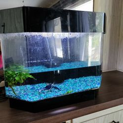 10 Gallon Acrylic Fish Tank