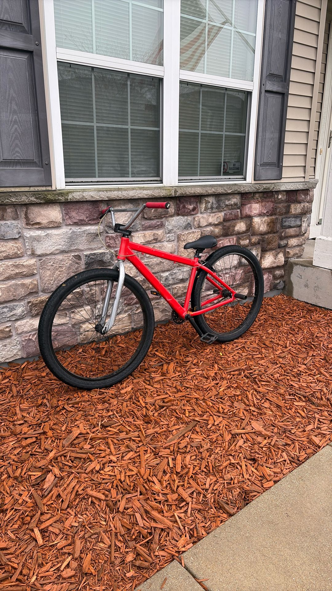 29” “Big Flyer” SE Bike