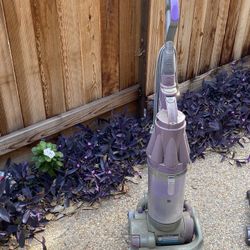 Dyson Vacuum (Purple)