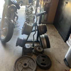 Multiple Weight Plates 5lbs-44lbs Plates With Weight Tree And Newer Condition Ez Curl Bar