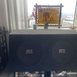 Dual 12 Inch Mtx Woofers