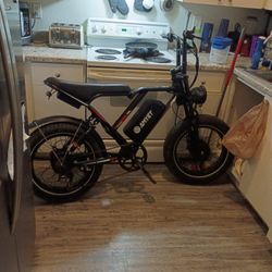 Amyet Electric Bike Dual Motor 
