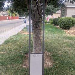 Pet Door for Medium Large Dog