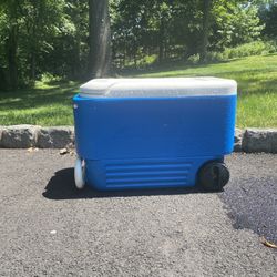 Igloo Cooler (medium)(blue/white)