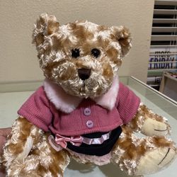 Beautiful Unique Teddy Bear  with Pink Sweater