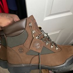 Beef and Brocolli Hi timbs