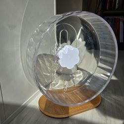 BUCATSTATE Hamster Wheel (9.8", 25cm) very quiet and clean