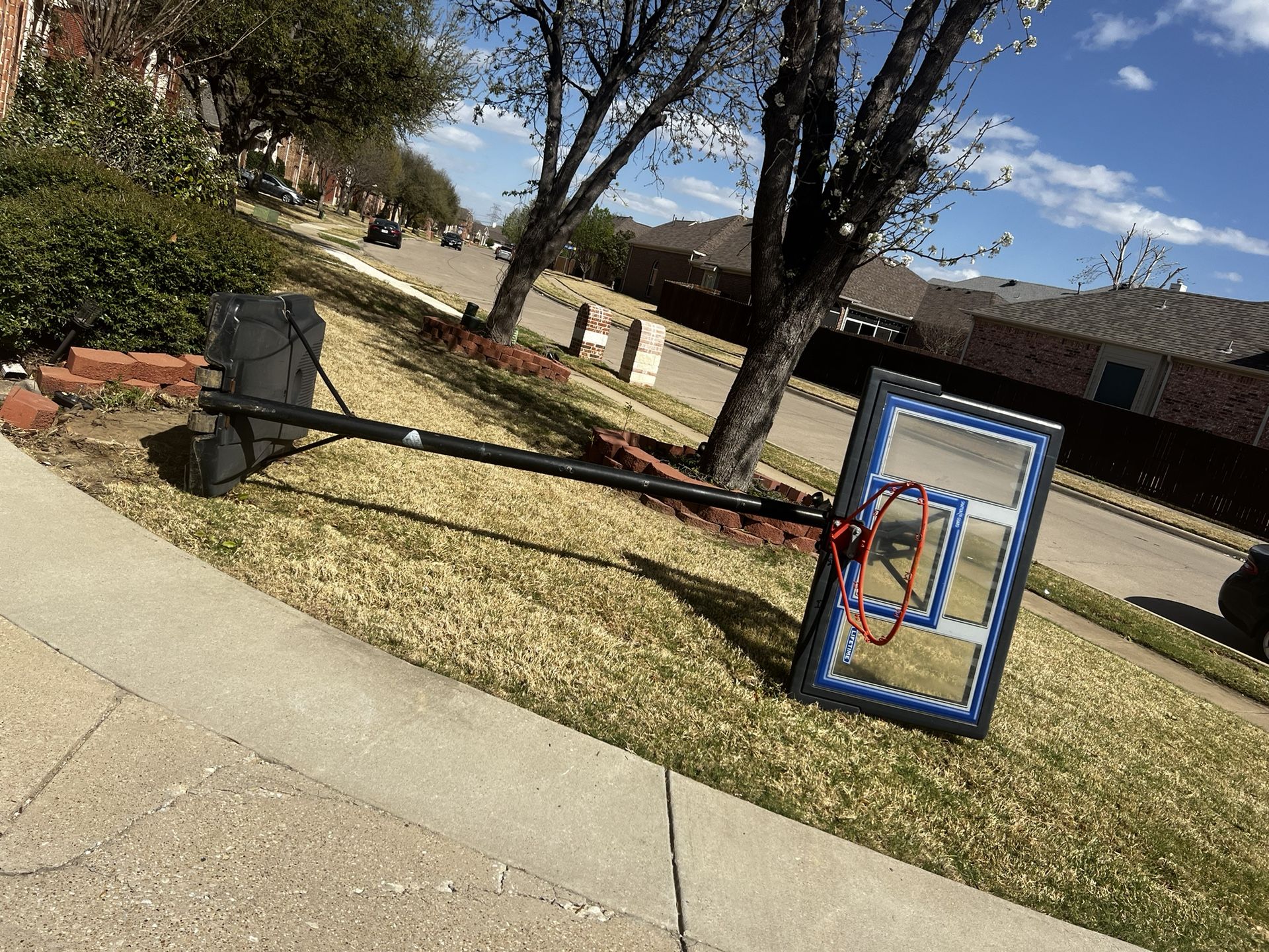 Full-size Basketball Hoop