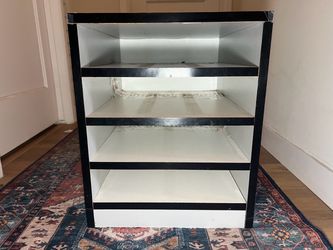 Snake Reptile Rack