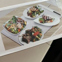 Food Warmer Plate