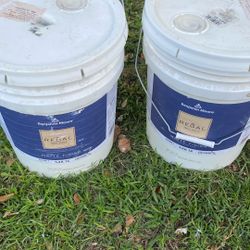 Pintura Están Sellados 