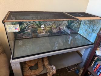 Reptile terrarium and accessories