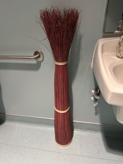 Decorative plant