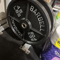 45Lb Barbell plates