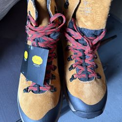 Men's Danner mountain GTX boots