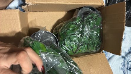 2 Fake plants