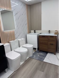 Toilet and Bathroom Vanity