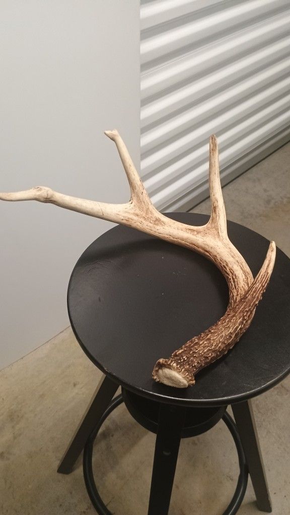 Deer Antlers/ Real Antlers /Partial Skull/Home Decor Antlers
 


4 point 
