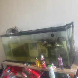 60 Gallon Tank