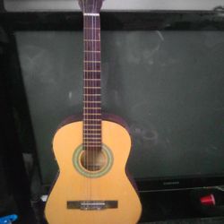 Guitar