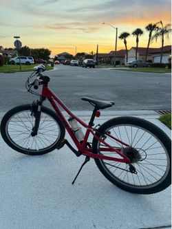 TREK bicycle